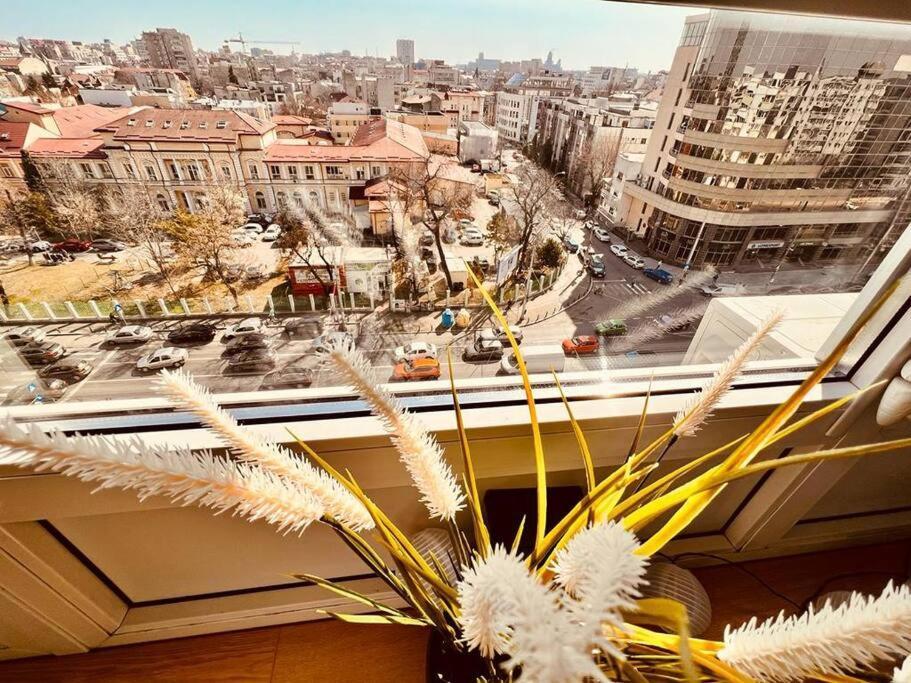 City View Studio In The Heart Of Bucharest Apartamento Exterior foto